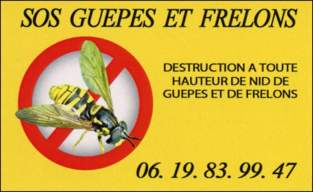 destruction de guepes et frelons 27150